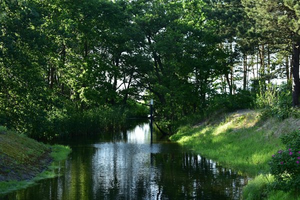 Les bienfaits d'un régime sans sucre
