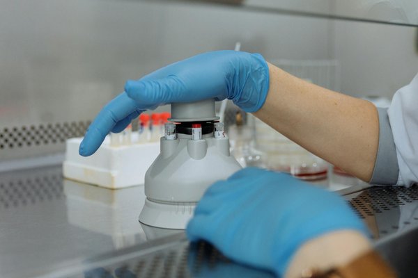 Les différents régimes alimentaires recommandés pour les seniors